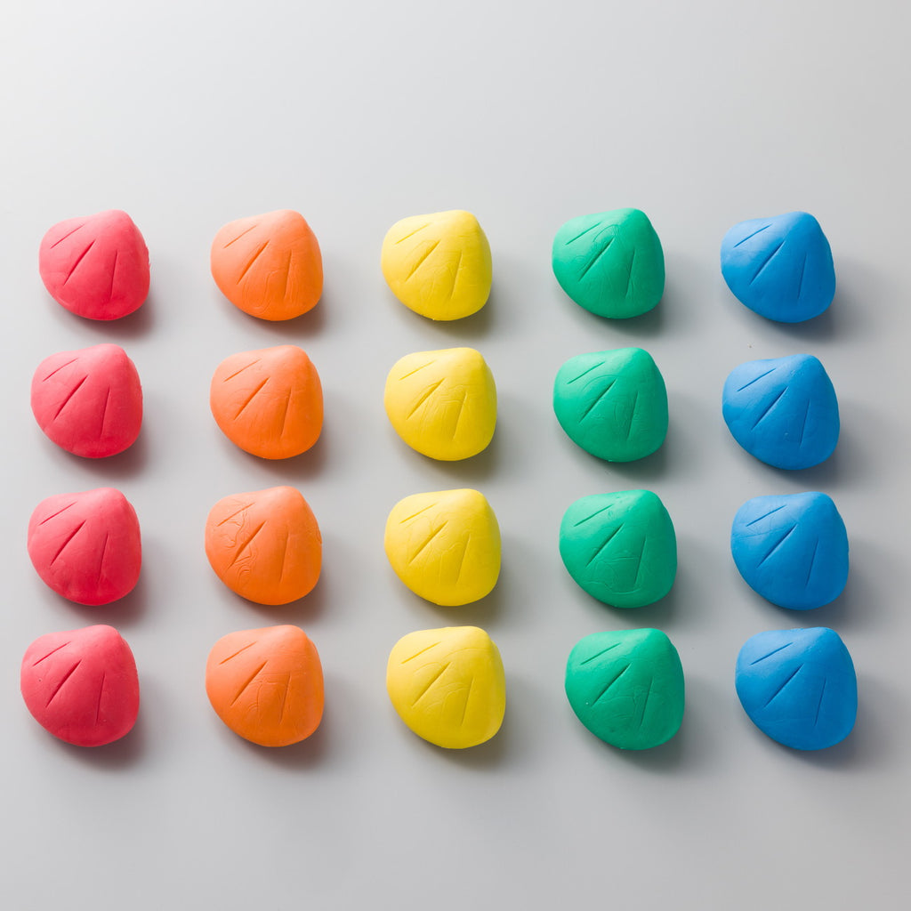 カラフルな貝殻を拾ってあそぼう！ 水中かいがら拾い — コドモンストア