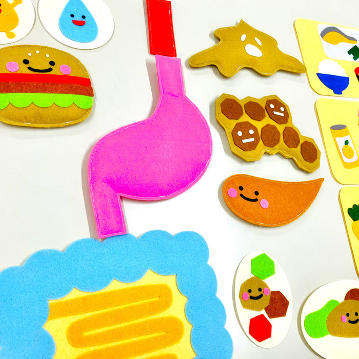 教育エプロン 消化の仕組み～食べたものはどうなるの？～