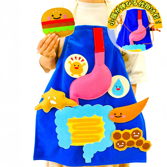 教育エプロン 消化の仕組み～食べたものはどうなるの？～