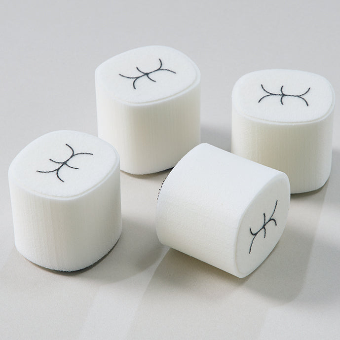 専門家監修！的確な指導ができる　はみがき指導シアター