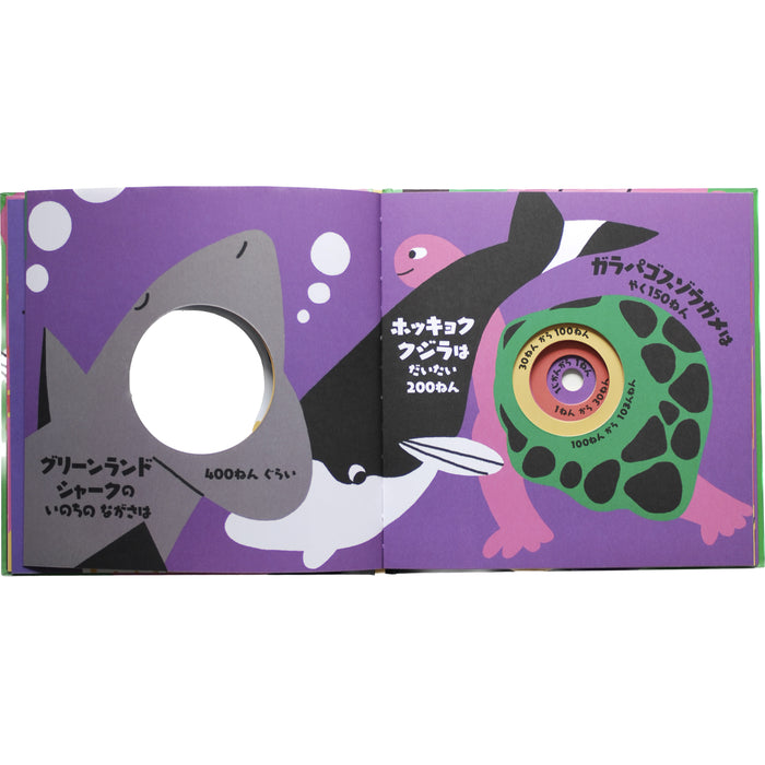【5～6歳向け】もっと読みたい！ 世界の絵本 5冊セット