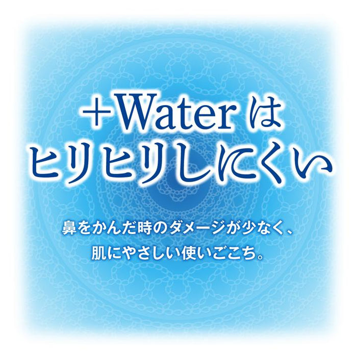エリエール+Water（ポケット）14W14P